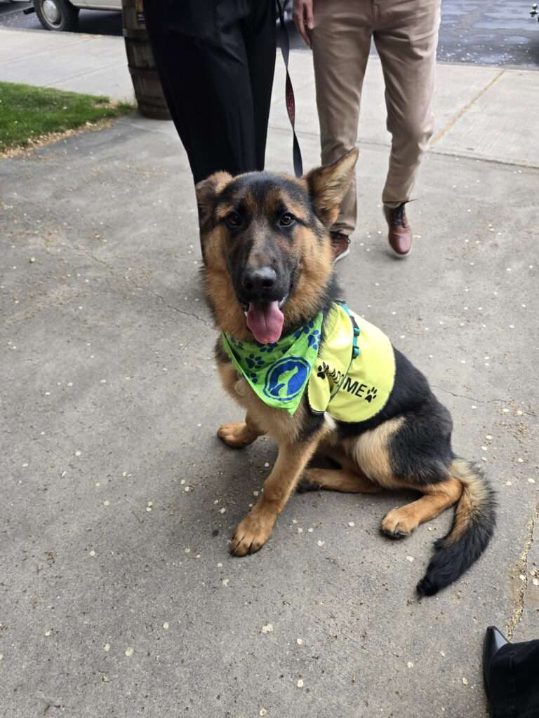 A Night for Brighter Futures: Supporting BrightSide Animal Center