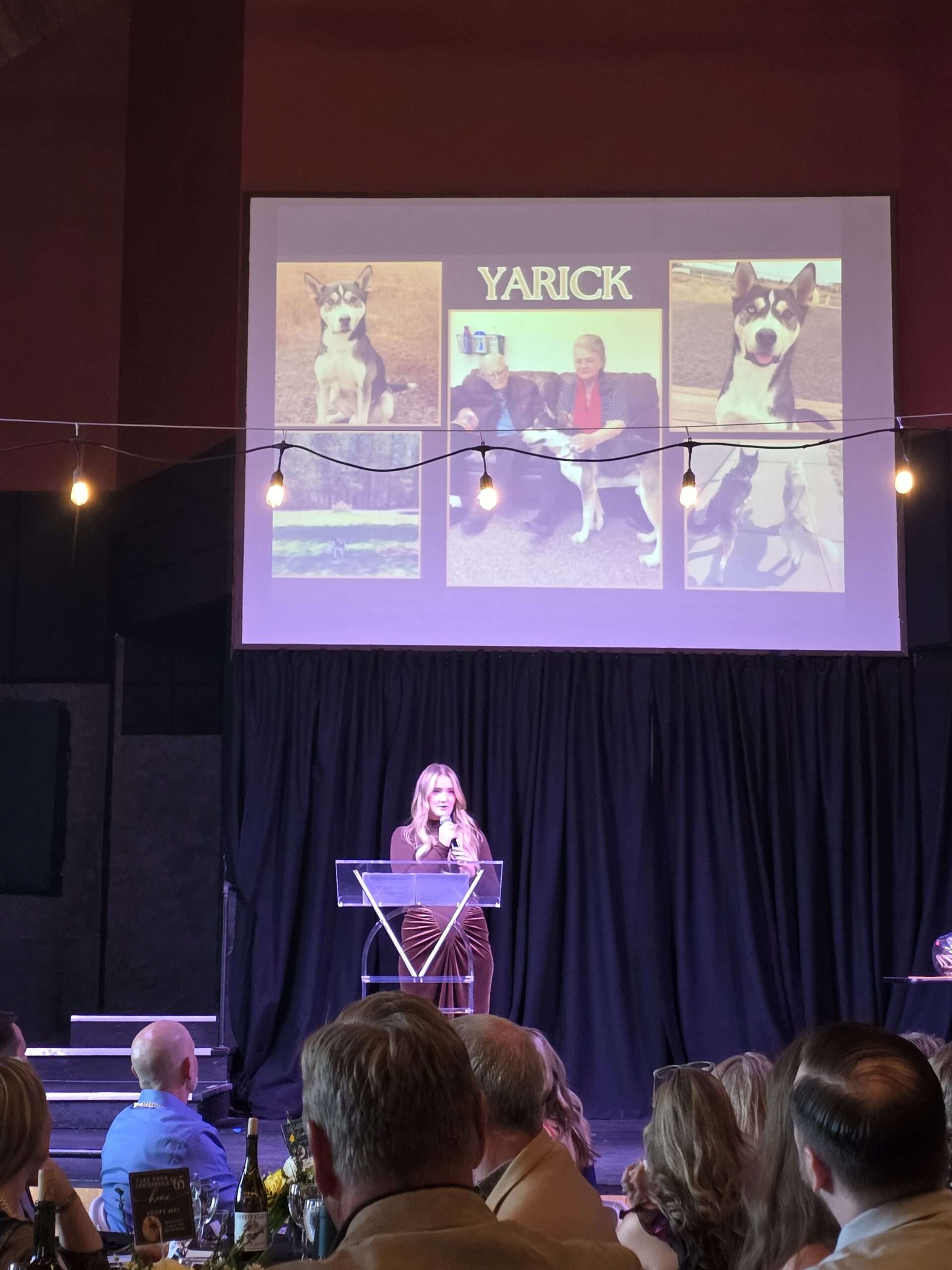 A speaker on stage sharing an adoption story during the gala